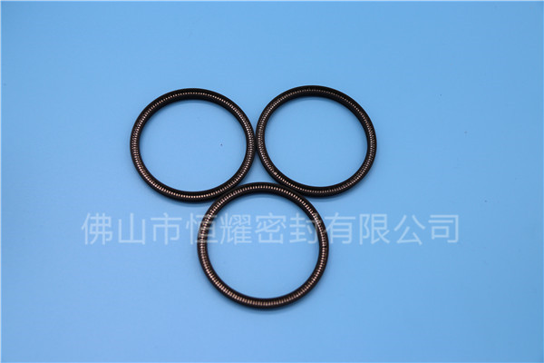 HOC、HVC孔轴两用泛塞封 (24)